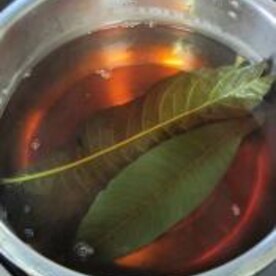 びわ の 葉 茶 作り方